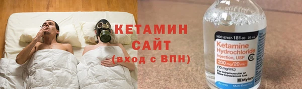 индика Аркадак