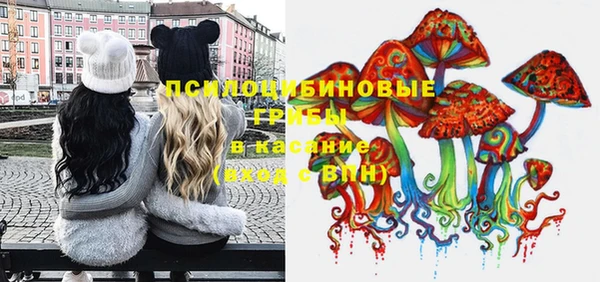 индика Аркадак