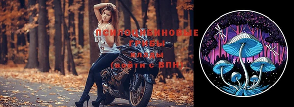 скорость Алексеевка