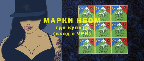 индика Аркадак