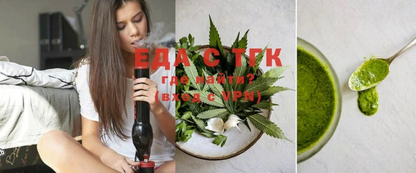 индика Аркадак