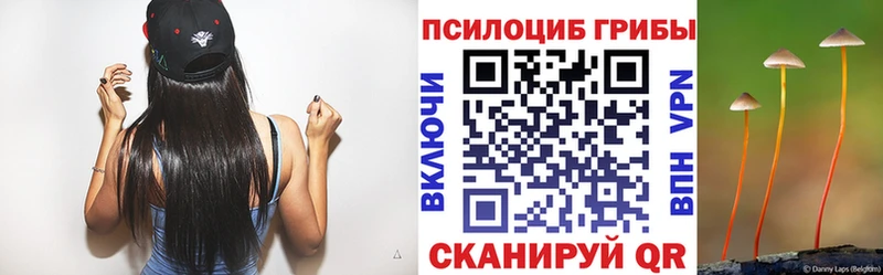 Псилоцибиновые грибы GOLDEN TEACHER  OMG   Печоры  где купить  